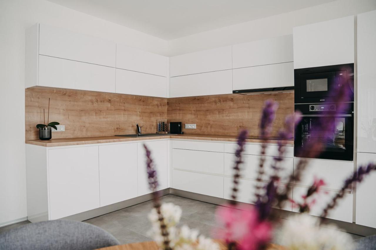 Apartman Usti Hranice  Exterior foto